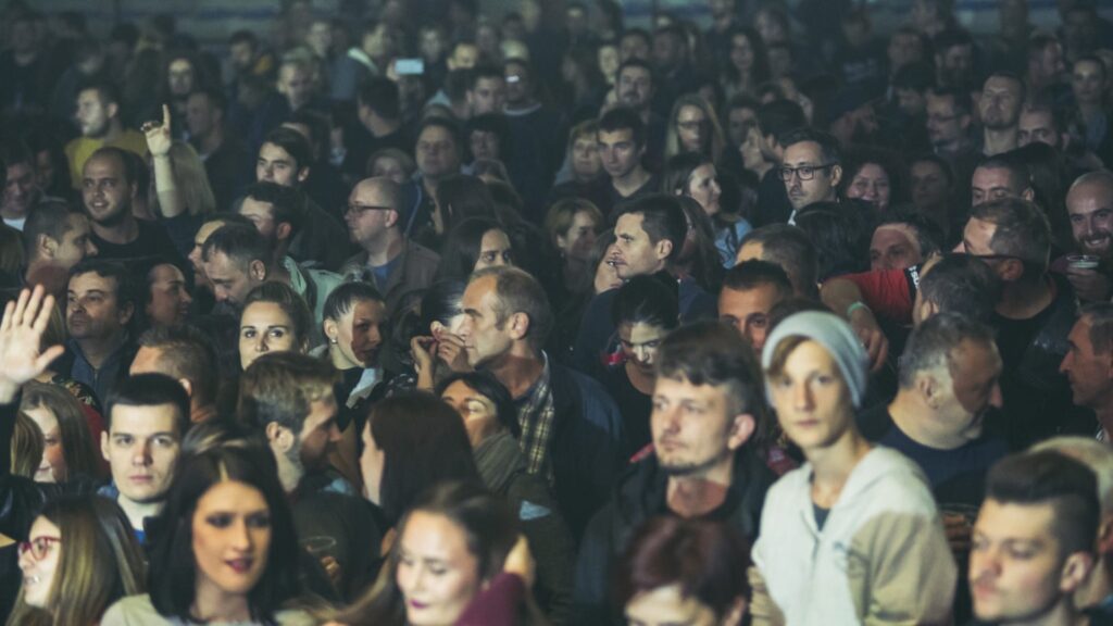 Projektna Produkcija - Projekt - Hladno Pivo